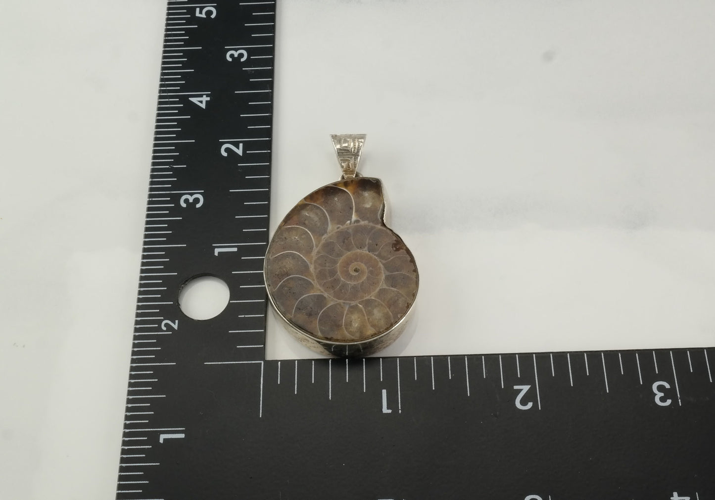Vintage Ammolite Fossil Sterling Silver Pendant