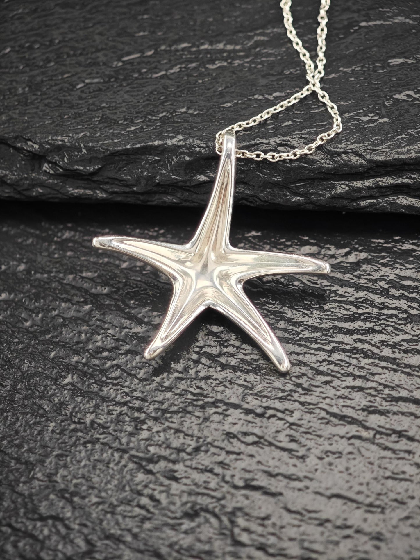Vintage Tiffany Sea Star Minimalist Necklace Sterling Silver N2534