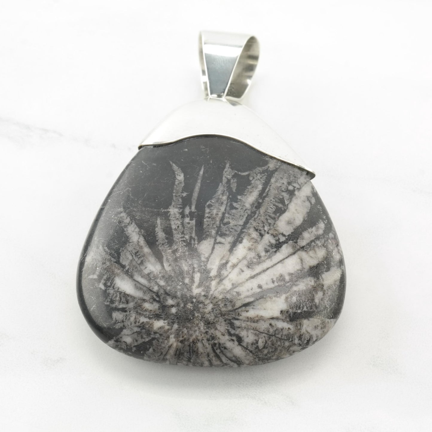 Vintage DTR Fossil, Large Sterling Silver Pendant