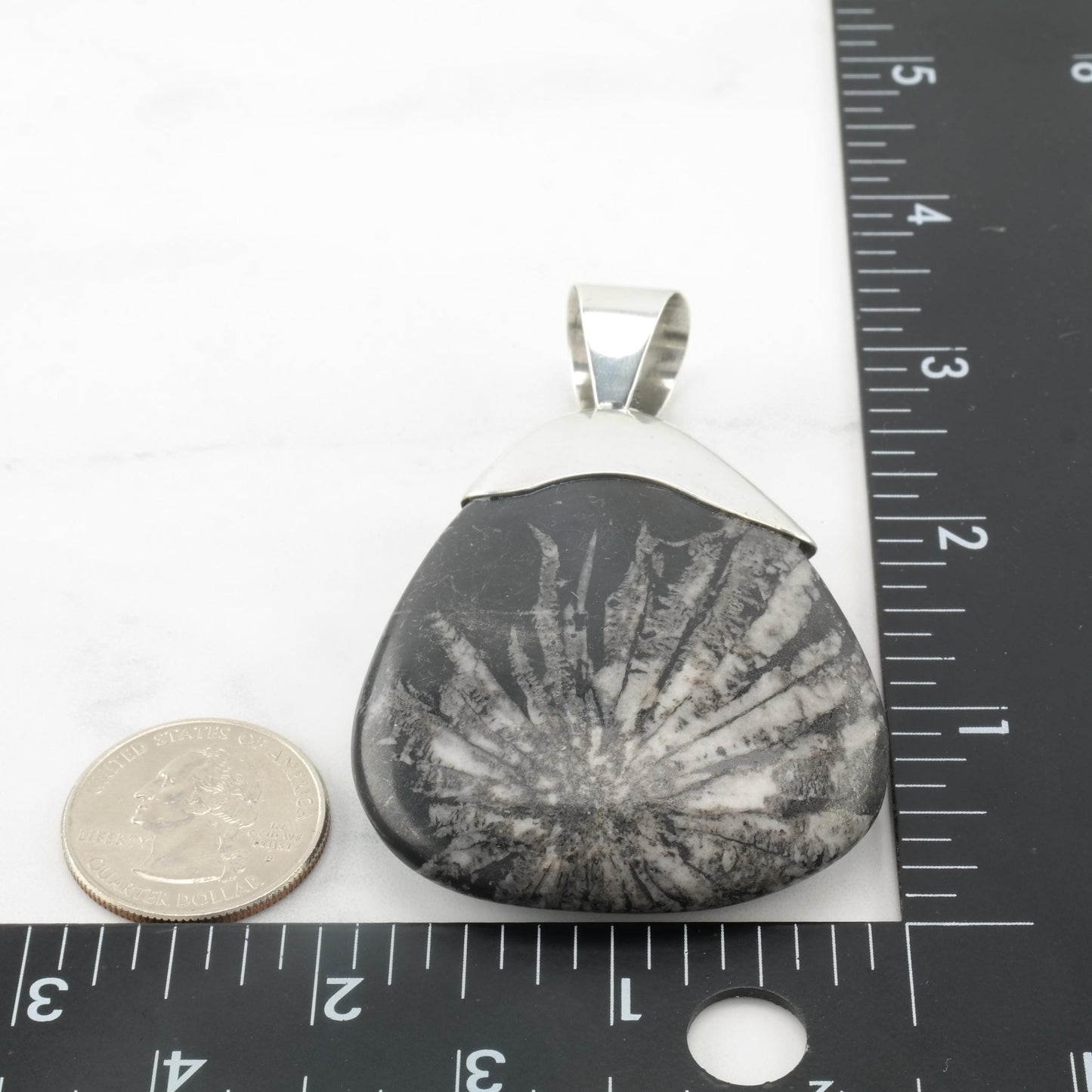 Vintage DTR Fossil, Large Sterling Silver Pendant