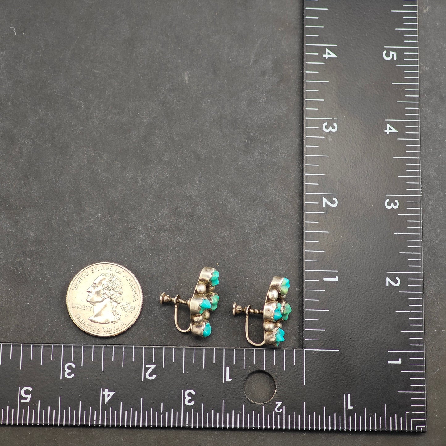 Vintage Native American Turquoise Carved Sterling Silver Screwback Earrings ER3003