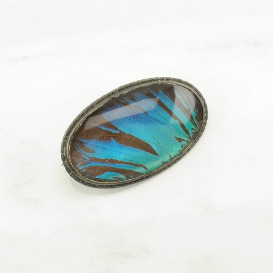 Vintage England Sterling Silver Brooch Oval Iridescent Butterfly Wing