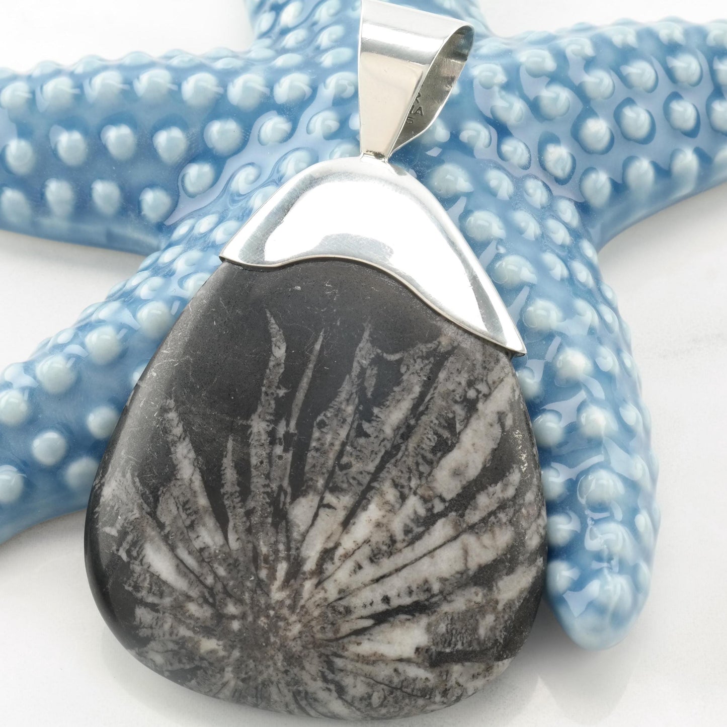 Vintage DTR Fossil, Large Sterling Silver Pendant