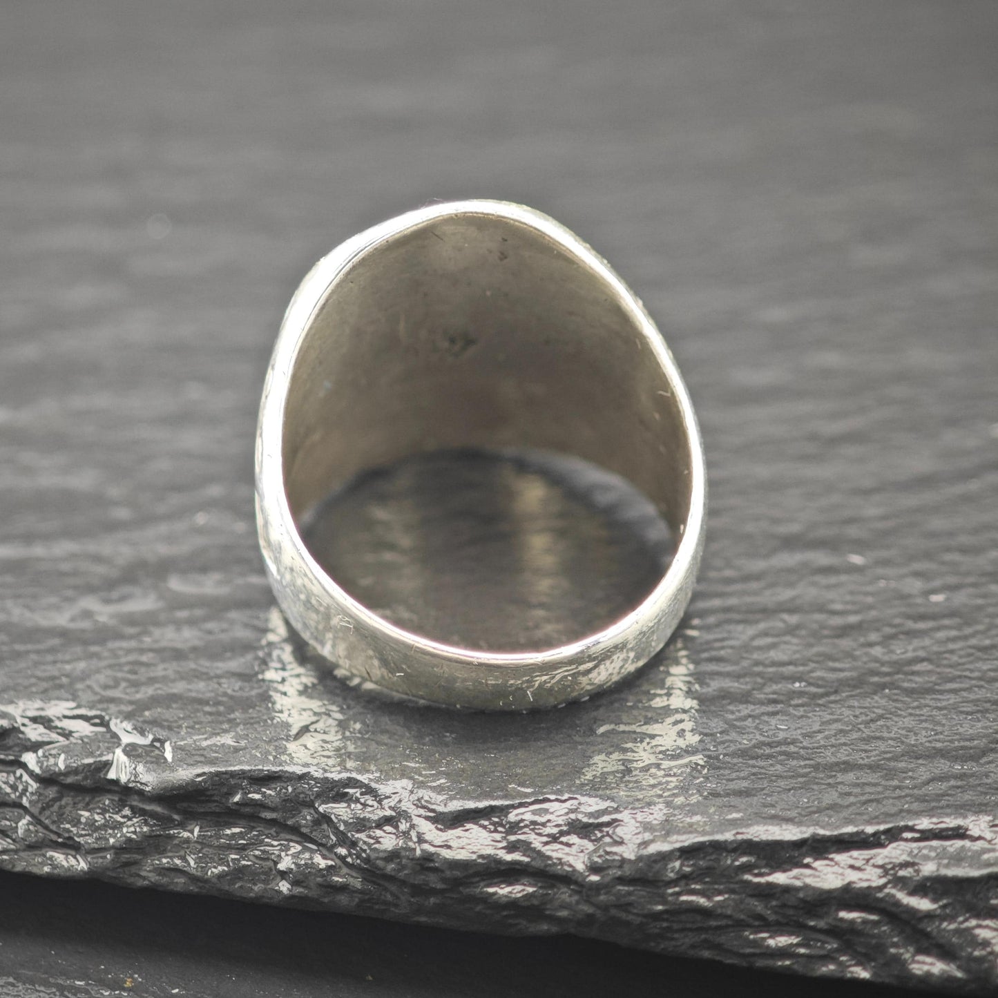 Sterling Bell Horseshoe Silver Ring Petrified Wood