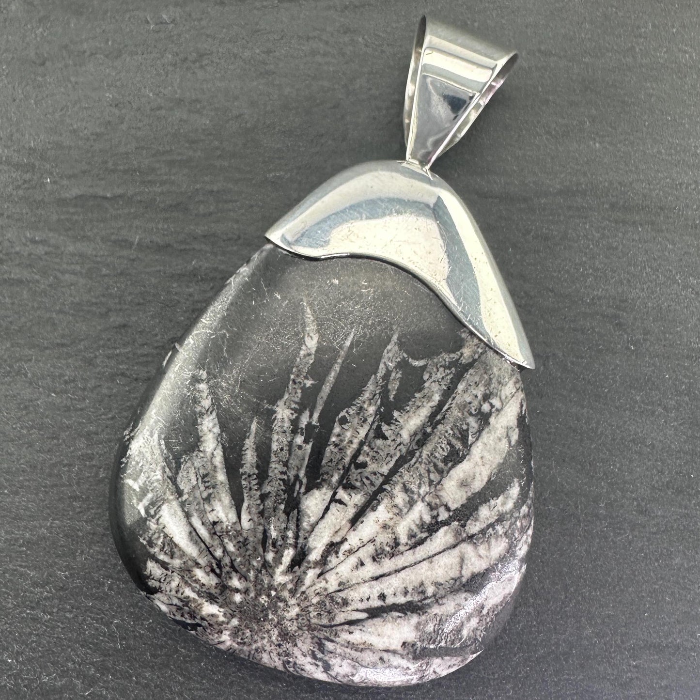 Vintage DTR Fossil, Large Sterling Silver Pendant