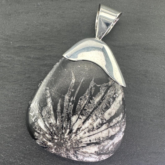 Vintage DTR Fossil, Large Sterling Silver Pendant