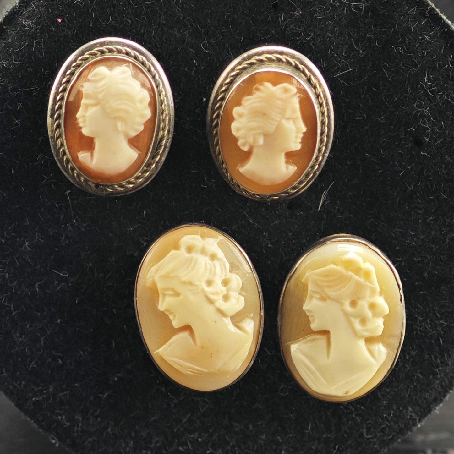 Choice of Coral, White Cameo Stud Sterling Silver Earrings ER3171