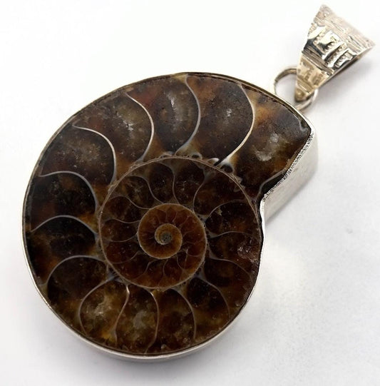 Vintage Ammolite Fossil Sterling Silver Pendant