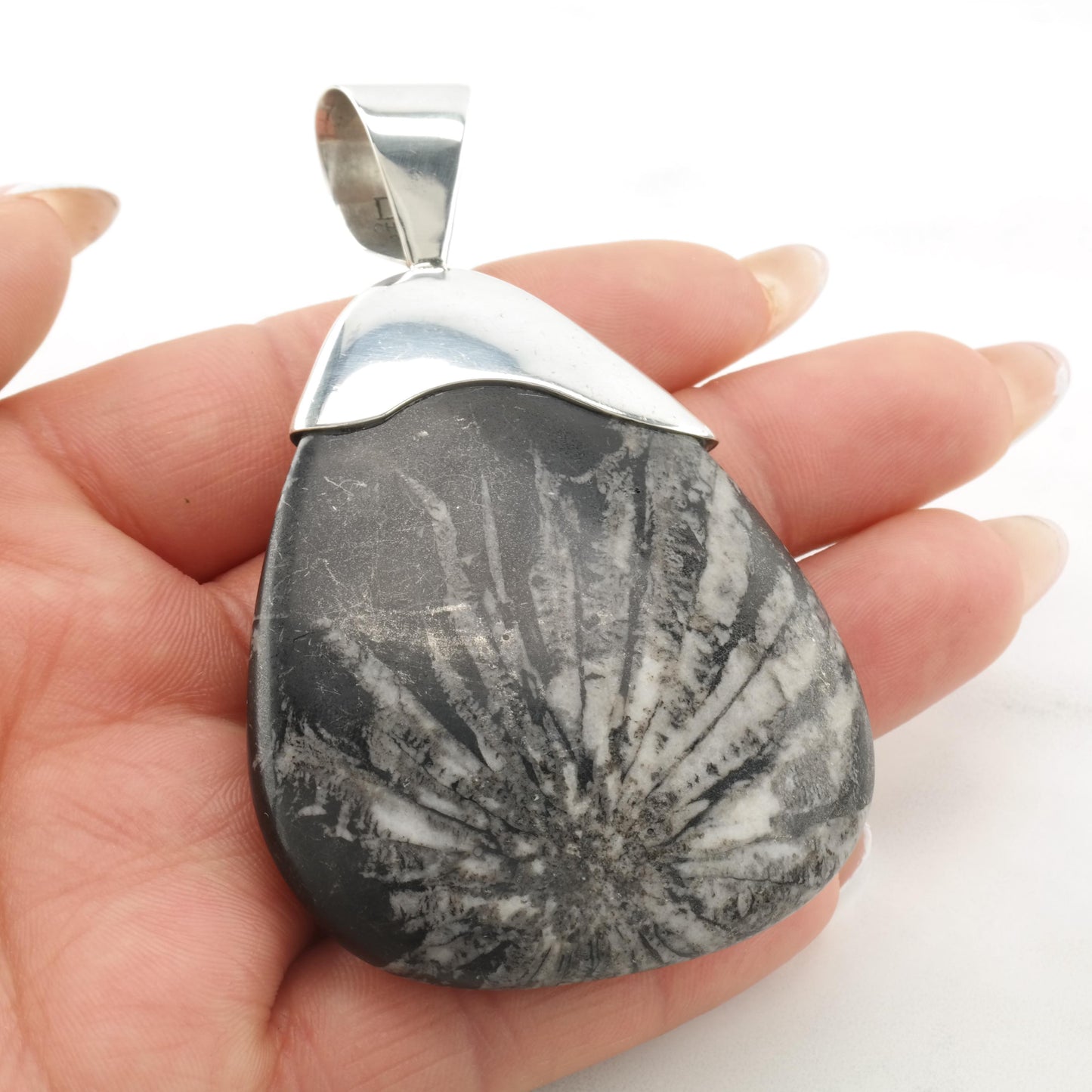 Vintage DTR Fossil, Large Sterling Silver Pendant