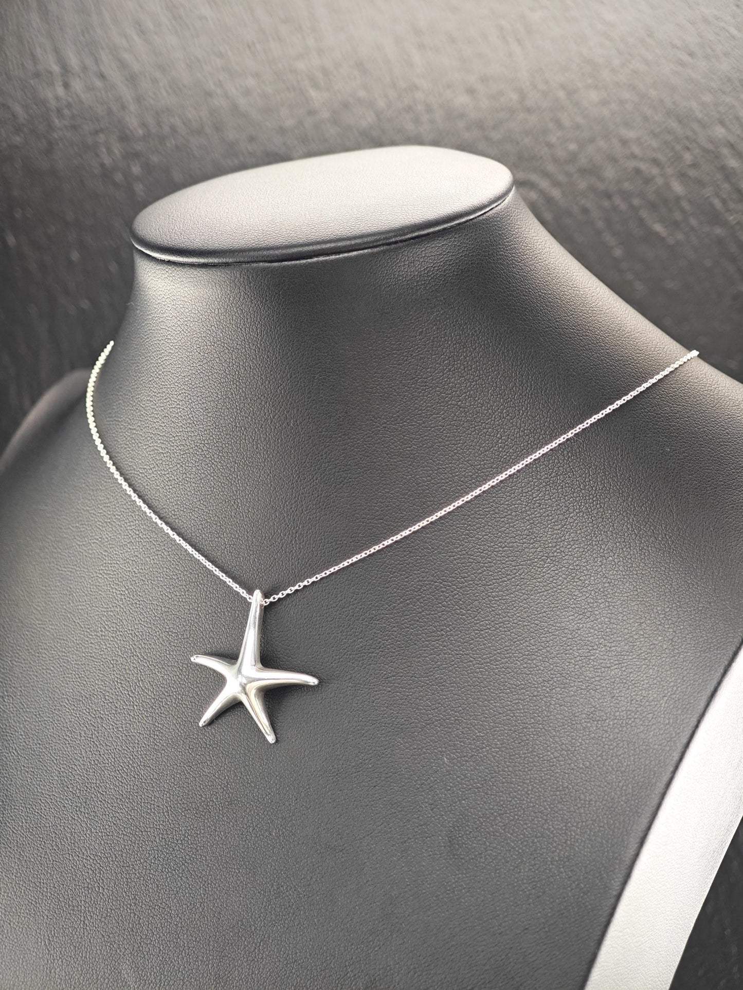 Vintage Tiffany Sea Star Minimalist Necklace Sterling Silver N2534