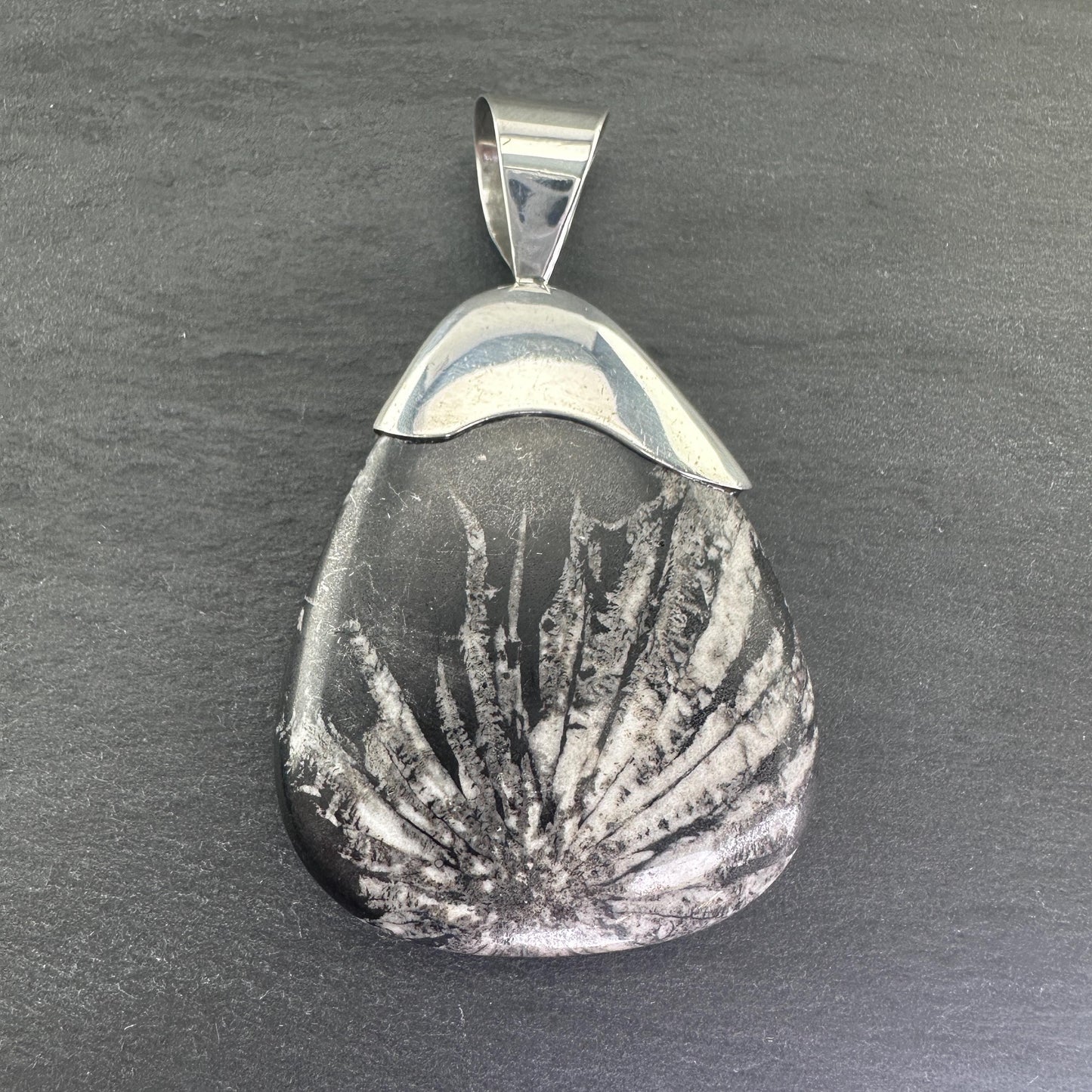 Vintage DTR Fossil, Large Sterling Silver Pendant