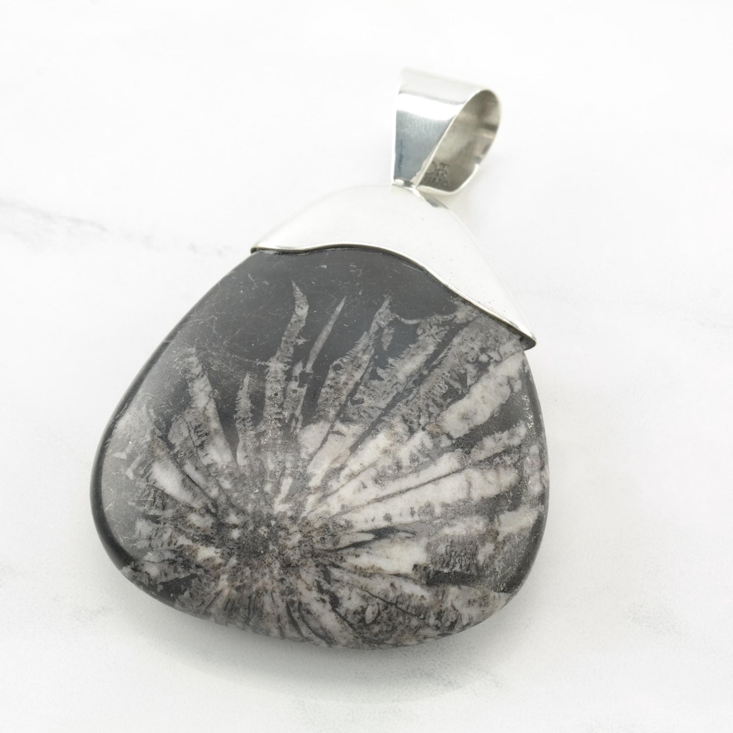 Vintage DTR Fossil, Large Sterling Silver Pendant