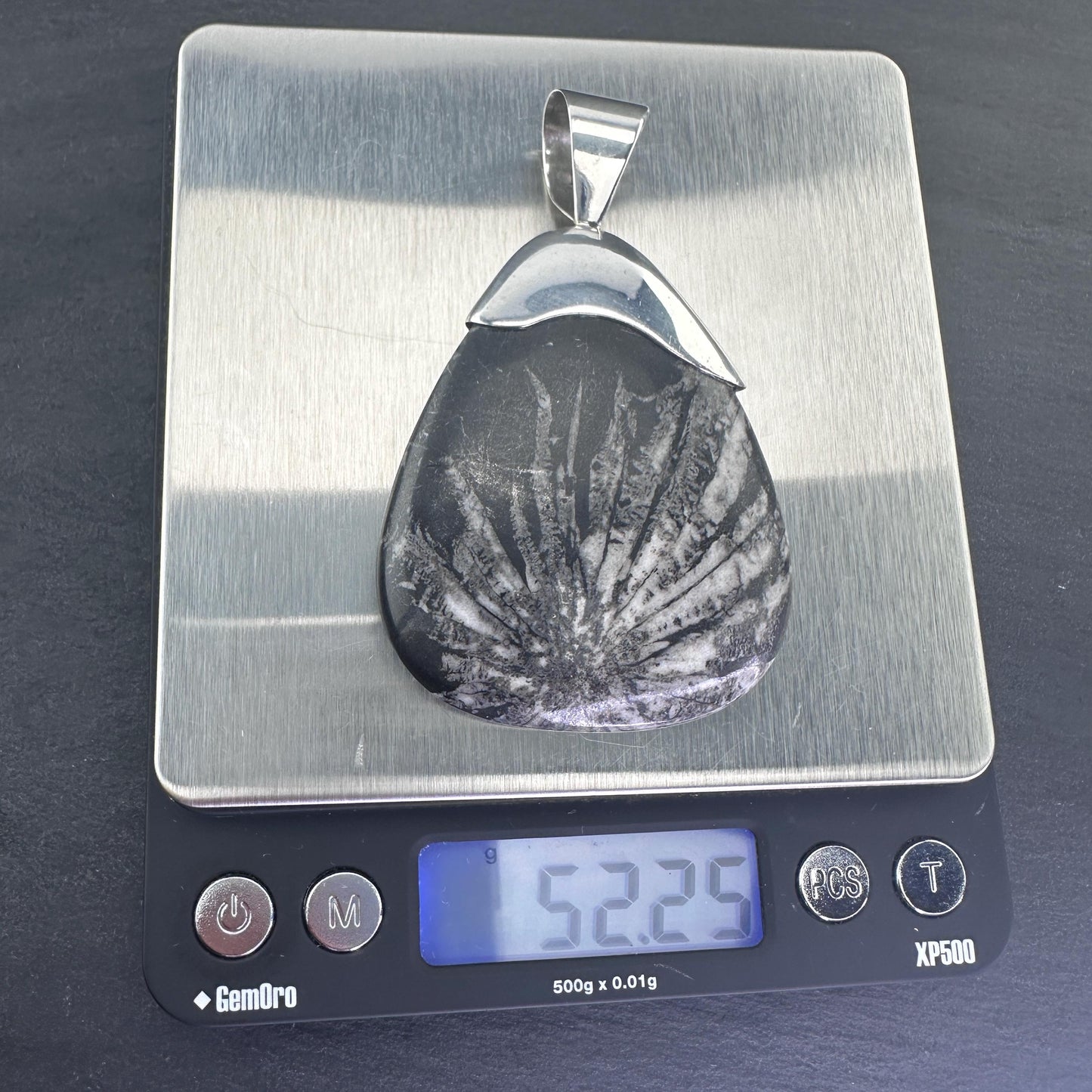 Vintage DTR Fossil, Large Sterling Silver Pendant