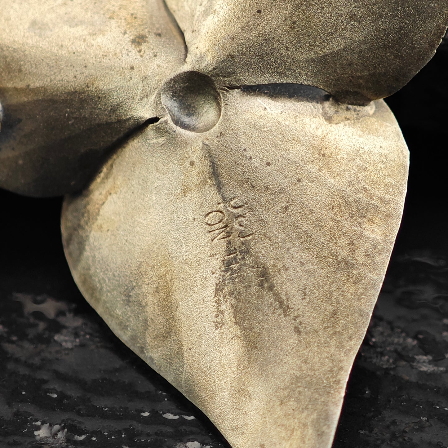 Floral Sterling Silver Brooch B2221