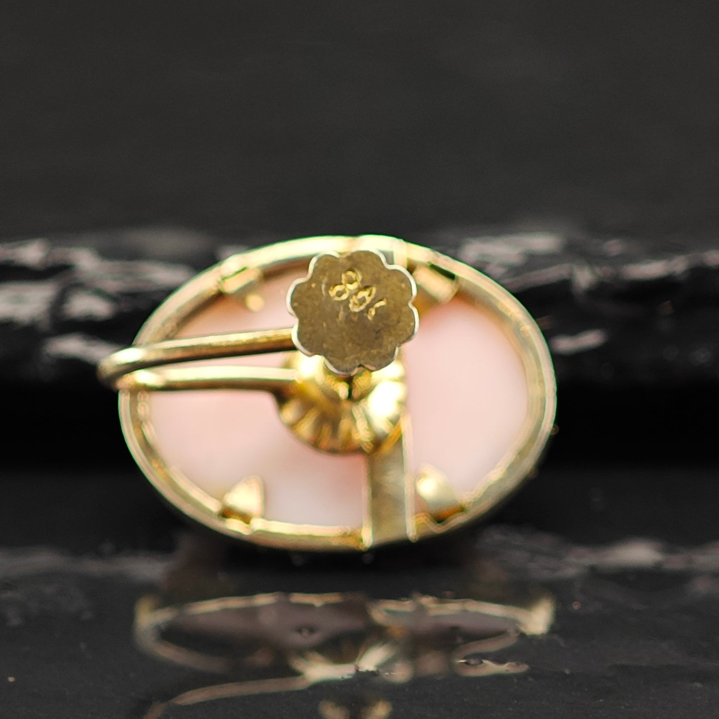 Vintage Cameo Carved Gold Plated Sterling Silver Screw Back Earrings ER3036