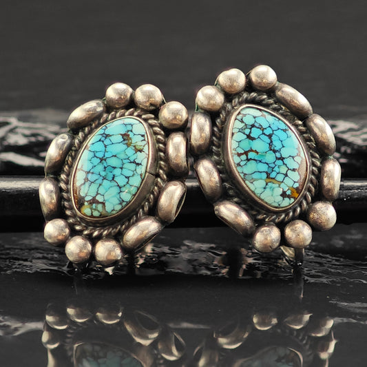 Vintage Native American High Grade Spiderweb Turquoise Sterling Silver Screw Back Earrings ER3055