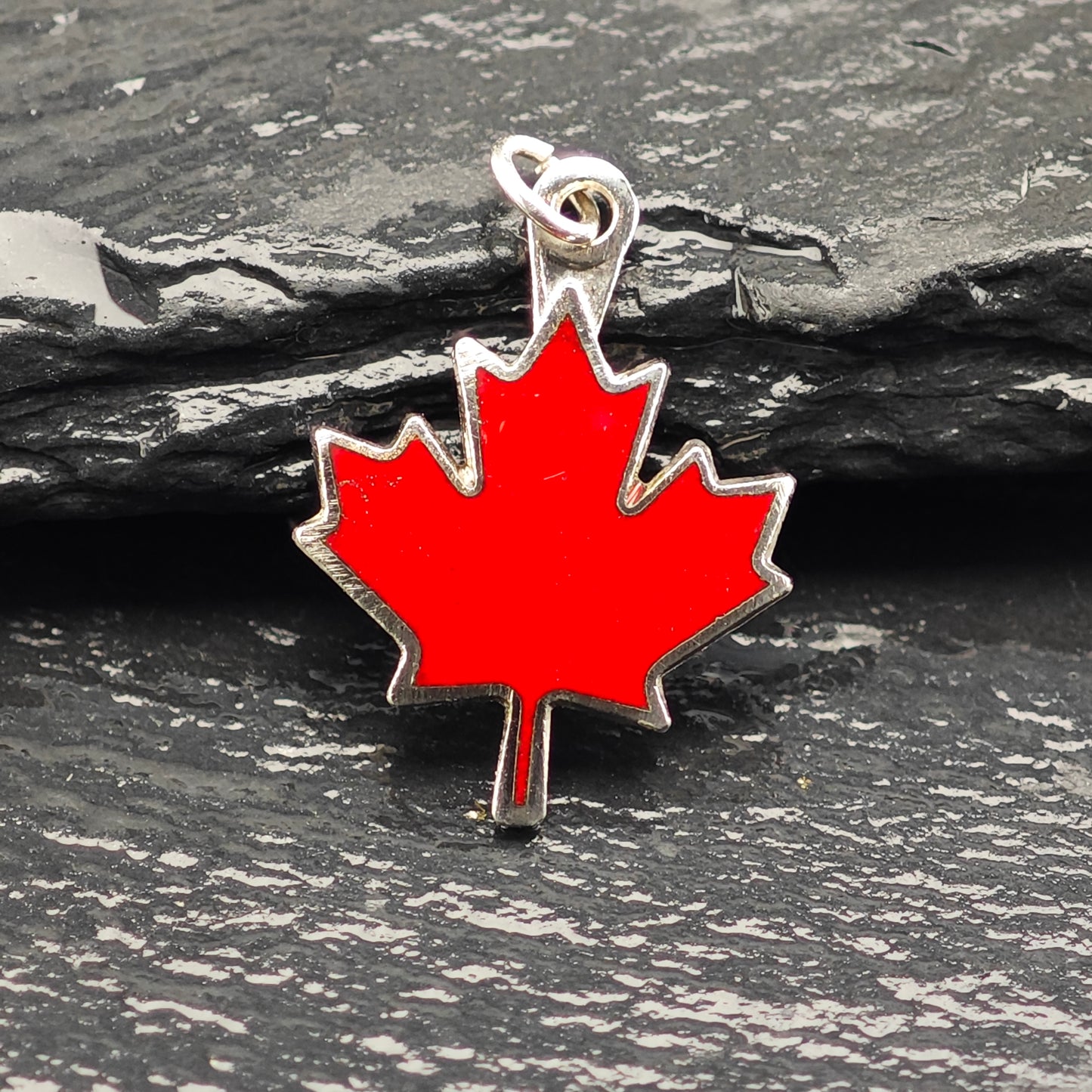 Choice of Sterling Silver Charms P2933