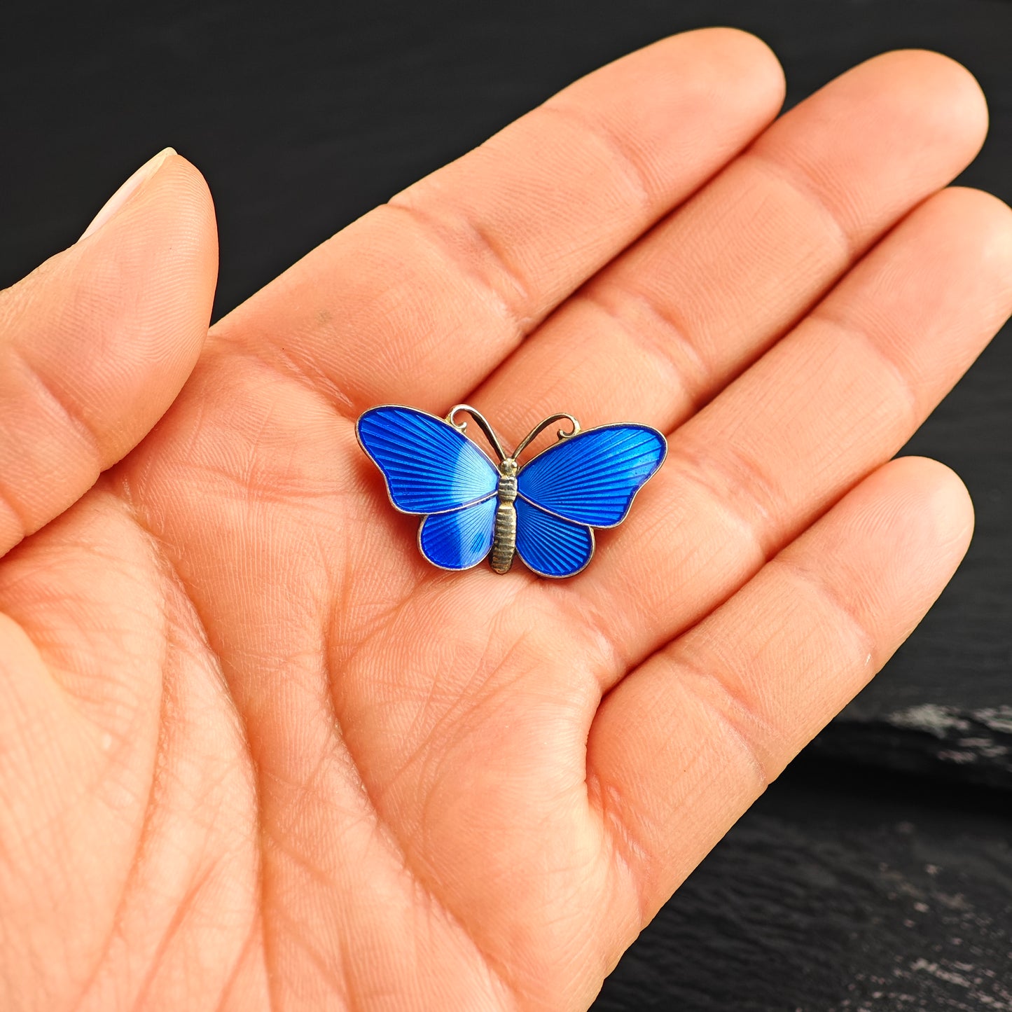 Norway, Enamel Butterfly Sterling Silver Brooch B2203