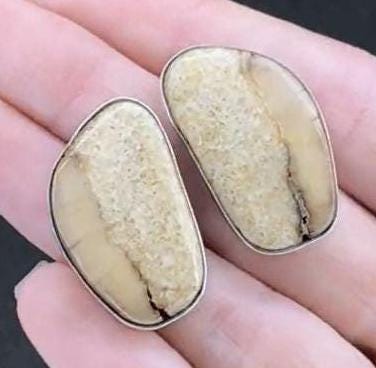 Vintage Sterling Silver Fossil Earrings, 1970s, Beige Earrings, Native American Earrings, Post Earrings