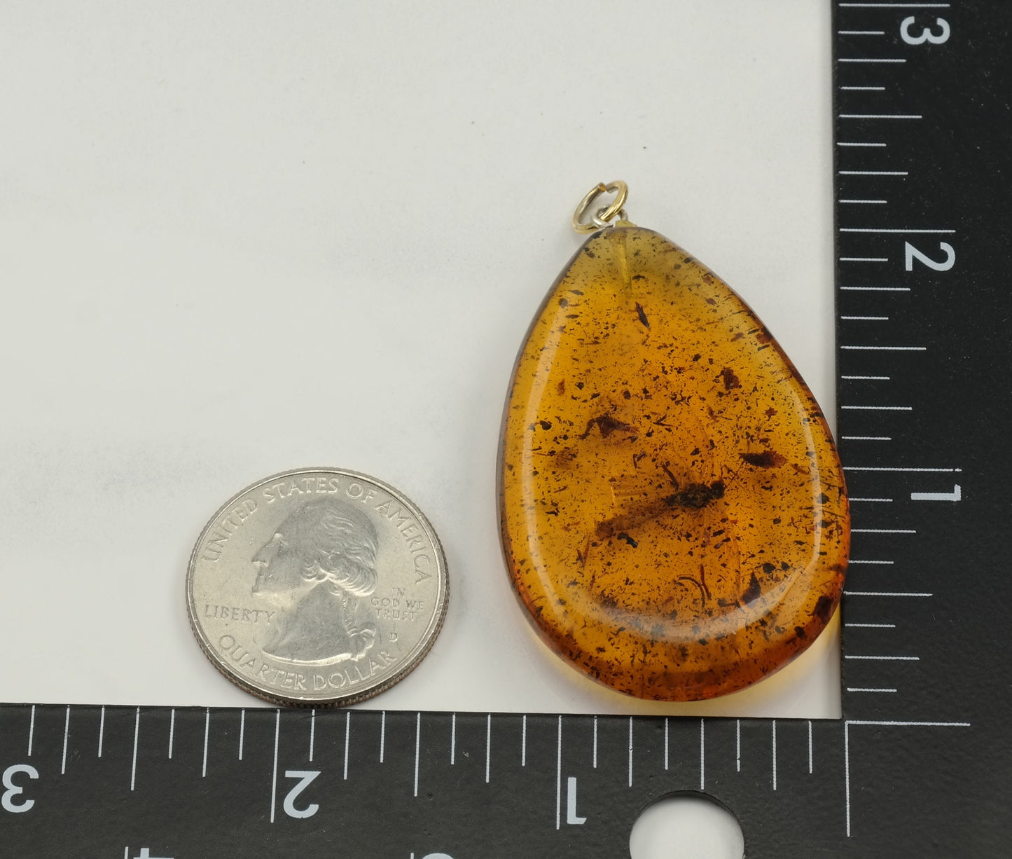 Copal With an Insect Pendant