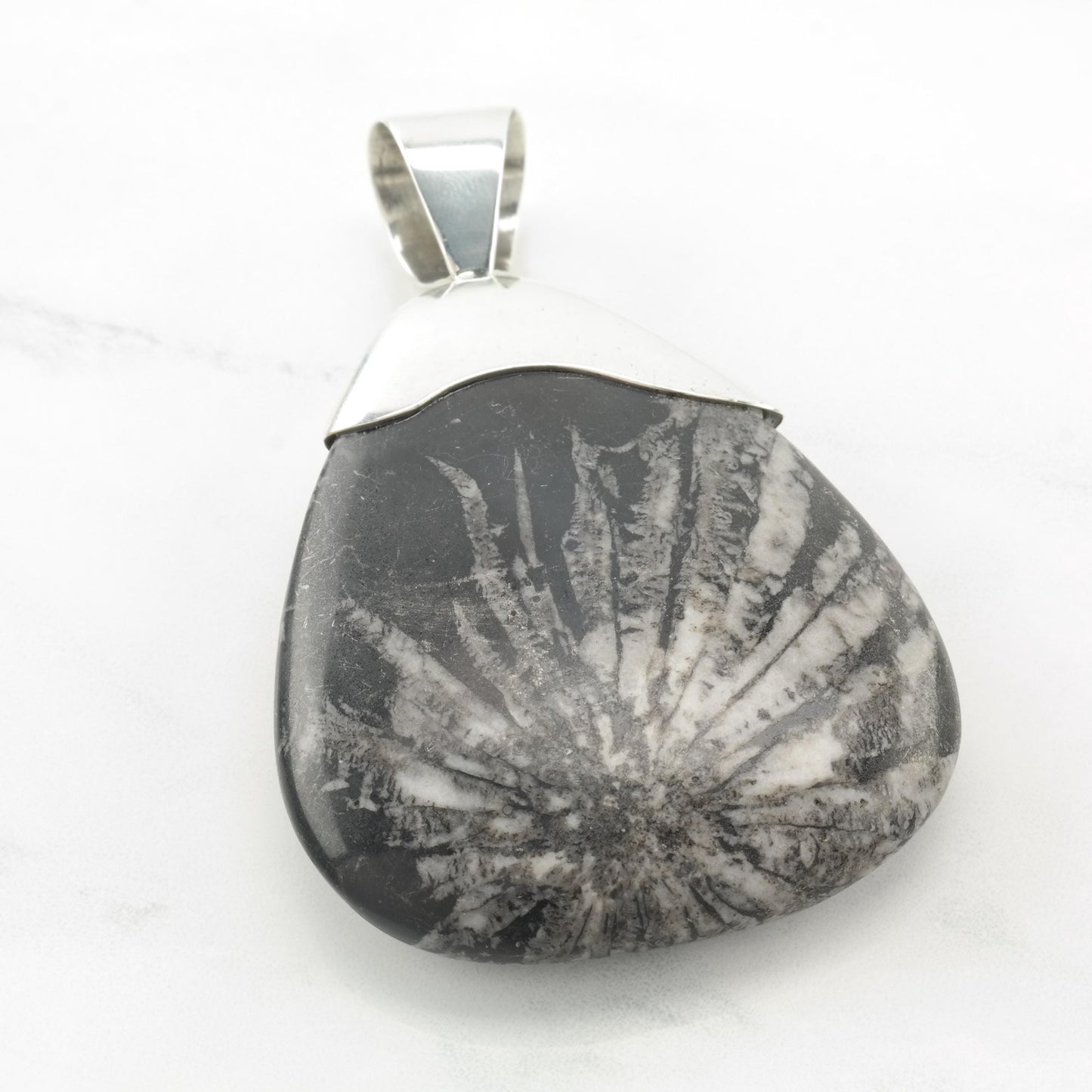 Vintage DTR Fossil, Large Sterling Silver Pendant
